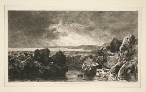 Les roches noires près de Trouville (Marée basse) - Maxime Lalanne