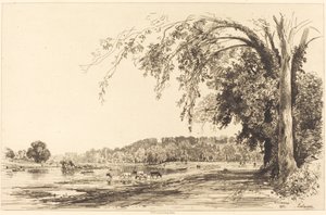 Richmond - Maxime Lalanne