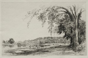Richmond - Maxime Lalanne