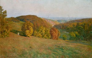 Vienne depuis le Kobenzl - Maximilian Suppantschitsch
