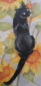 Un chat noir parmi les tournesols