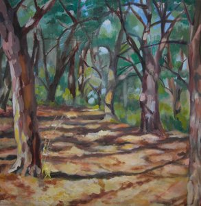 Sentier forestier ombragé