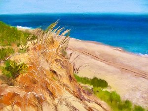Une vue paisible sur la côte