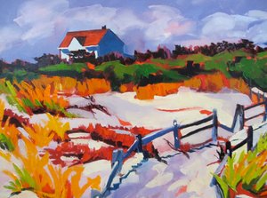 Le gîte « Vibrant Dunes »