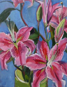 Des lys rose vif