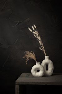 Vases organiques et plantes séchées - Mayra Pama