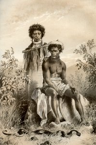 Maoris et serpent tapis, Nouvelle-Zélande, 1879 - McFarlane and Erskine