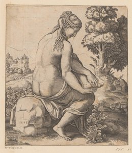 Vénus et la rose - Meester van de Dobbelsteen