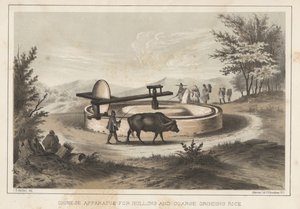 Appareil chinois pour décortiquer et broyer grossièrement le riz, 1855 - Meffert