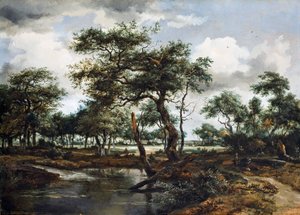 Un étang dans la forêt, 1668