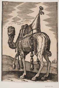 Un chameau sellé - Melchior Lorck