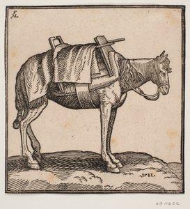 Un cheval de bât sellé
