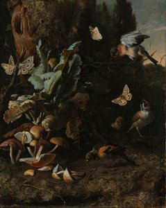 Animaux et plantes