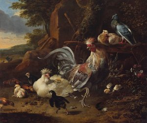Coq, poules et autres volailles dans une cour - Melchior d