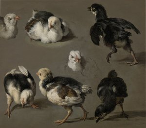 Sept poussins