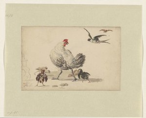 Deux hirondelles et une poule avec quatre poussins