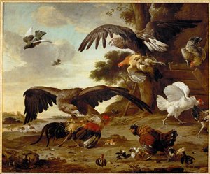 Les aigles attaquent les poulets ... - Melchior de (manner of) Hondecoeter