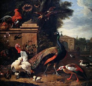 Un paon, un faucon et divers volailles et canards dans un parc - Melchior de Hondecoeter