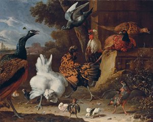 Un coq, des poules, des poussins, une perdrix, des faisans, un paon et un pigeon près d