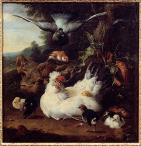 Une poule et ses poussins - Melchior de Hondecoeter