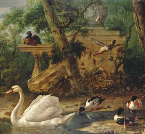 Oiseaux dans un jardin