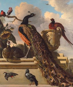Oiseaux dans le parc - Melchior de Hondecoeter