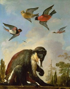 Singe enchaîné dans un paysage