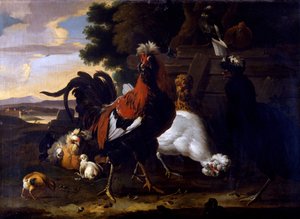 Coq, poules et poussins près d