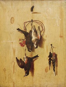 Oiseaux morts