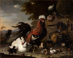 La paix dans la basse-cour - Melchior de Hondecoeter