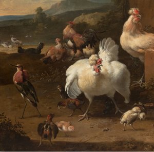 Détail de la Ménagerie, c.1680 - Melchior de Hondecoeter