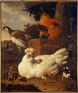 M. de Hondecoeter, Poule avec poussins - Melchior de Hondecoeter