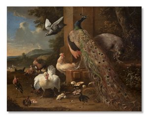 Ménagerie, vers 1680 - Melchior de Hondecoeter