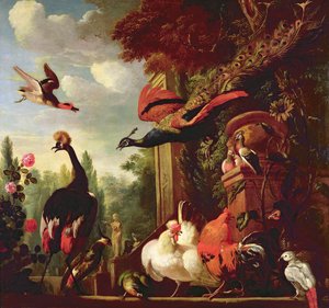Image inconnue - Melchior de Hondecoeter