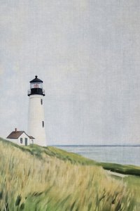 Phare sur les dunes herbeuses