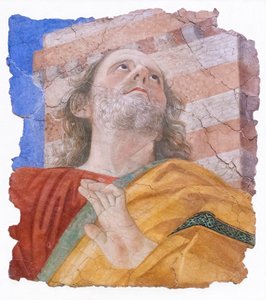 Tête d