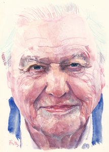 Sir David Attenborough - Michael Frith