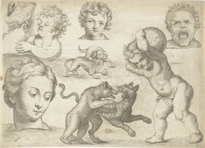 Studieblad met tekenvoorbeelden: koppen en vechtende dieren - Michael Snijders