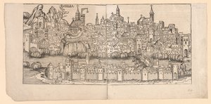 Chronique de Nuremberg : Vue topographique de Bâle, Suisse