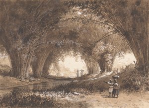 Arches de bambou, St. Anns