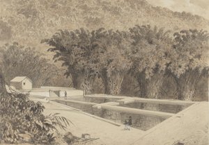 Le réservoir de Maraval - Michel Jean Cazabon
