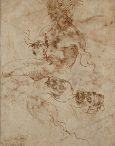 Figure ressemblant à un triton - Michelangelo Buonarroti