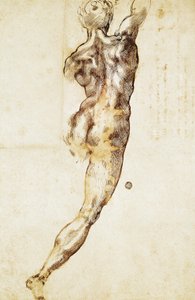Un nu masculin vu de dos, étude pour la Bataille de Cascina, par Michel-Ange (1475-1564), dessin - Michelangelo Buonarroti
