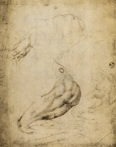 Étude anatomique - Michelangelo Buonarroti