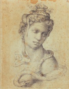 Cléopâtre - Michelangelo Buonarroti