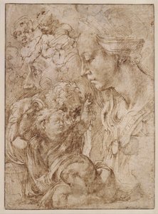 Étude pour la Sainte Famille avec saint Jean Baptiste enfant (détail) - Michelangelo Buonarroti