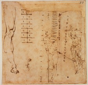 Études de figures - Michelangelo Buonarroti