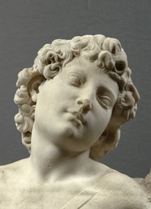 Tête du Cupidon 