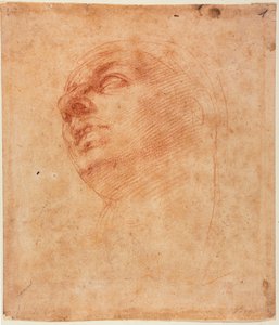 Étude de tête pour le Jonas de la Sixtine - Michelangelo Buonarroti