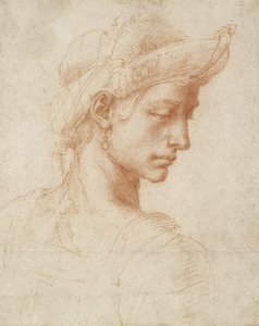 Tête Idéale, vers 1518-20